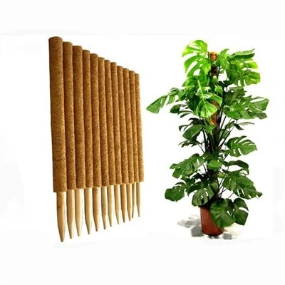 Coir Totem Plant Moss Pole Sokongan